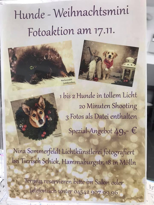 Hundefoto